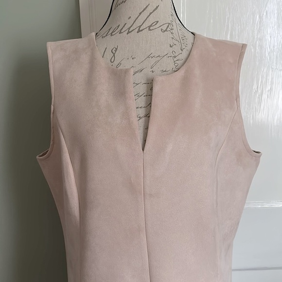 Bcbgmaxazria Adelene Bare Pink Micro Suede Shift Dress - Picture 3 of 15